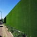 8800磅重工地围墙绿植背景墙麻城围墙广告牌假草坪