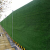 深三色12针墙体绿化围挡仿真草坪龙文区墙面仿真草皮