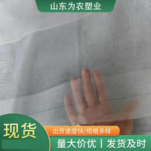 農(nóng)業(yè)防蟲網(wǎng)大棚蔬菜果園防蟲網(wǎng)聚乙烯材質(zhì)全新料可用3-5年圖片