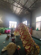 河南傳壹彩燈花燈圖片