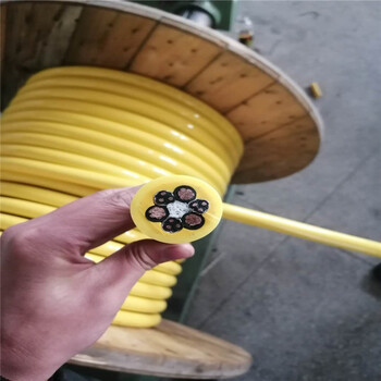 H07BQ-F欧标PUR耐油污电缆3GX16可浸泡在工厂油污中型