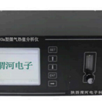 渭河W-2000a煤气热值分析仪