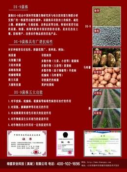 肥料增效劑納微氫絡(luò)