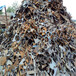 浦东新废钢铁回收当日上门评估不锈钢刨花收购