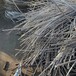 卢湾废铝屑回收支持线上出价长期大量收购模具钢