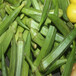 宣城宁国食堂蔬菜配送哪家好多年餐饮行业经验安徽蔬菜配送中心