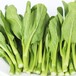 松江蔬菜配送價(jià)格廠家本地蔬菜配送中心