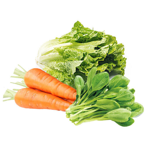 上海卢湾绿色蔬菜配送指导报价本地蔬菜配送