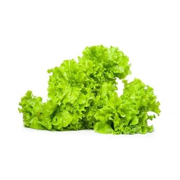 阜陽(yáng)臨泉生鮮果蔬配送銷(xiāo)售