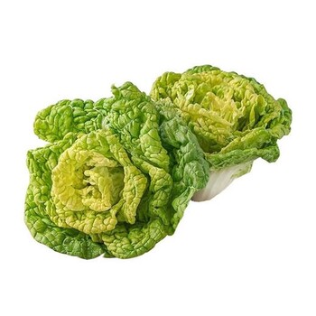 阜陽(yáng)臨泉生鮮果蔬配送銷(xiāo)售