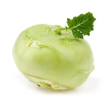 上海企業(yè)食堂蔬菜配送承包_本地蔬菜配送