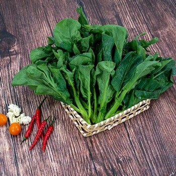 東莞茶山鎮(zhèn)企業(yè)食堂生鮮配送出售