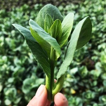 泰州企业盒饭配送供应