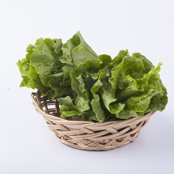 東莞企石鎮食堂蔬菜配送推薦