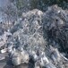 浦阳镇不锈钢废料回收清理萧山不锈钢回收价格