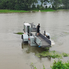 中小型湖泊水上割草船人工湖除水草设备自动卸料水白菜收割船
