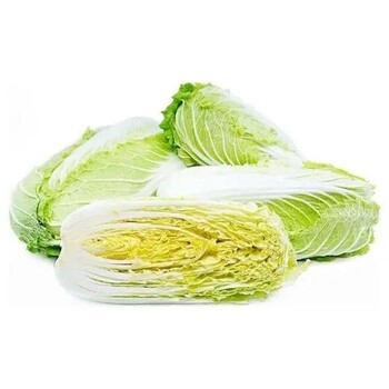 奉城鎮(zhèn)蔬菜新鮮配送價位