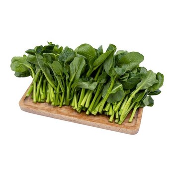 漕涇鎮(zhèn)工廠蔬菜配送批發(fā)