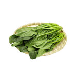 四團(tuán)鎮(zhèn)生鮮食品配送公司供貨商
