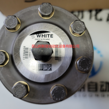WHITE懷特OMRX160-11186658丹佛斯Danfoss擺線馬達現(xiàn)貨