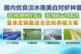 連云港海順?biāo)a(chǎn)對(duì)蝦養(yǎng)殖技巧分享，外出打工不如在家創(chuàng)業(yè)