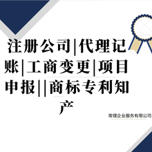 注册公司代理记账工商变更项目申报商标知产