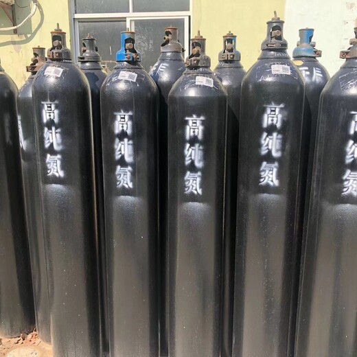 氮?dú)馊綑z測(cè)