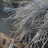 泰州高港不锈钢角钢回收选择回收不锈钢丝