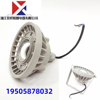 BZD110系列防爆免維護(hù)LED照明燈