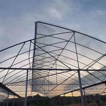 云南薄膜連棟溫室、廣西連棟避雨棚