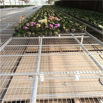 溫室大棚移動苗床熱鍍鋅花卉苗床