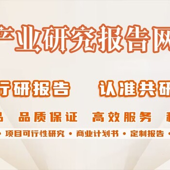 2023年中國碰碰車(chē)市場(chǎng)運營(yíng)趨勢報告