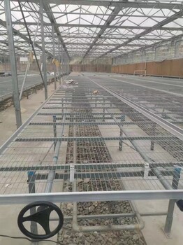活動苗床花卉種植網片溫室育苗設備花圃熱鍍鋅固定移動植床