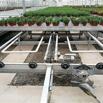 全自動物流苗床床溫室花卉灌溉育苗床大棚種植智能養花省人工