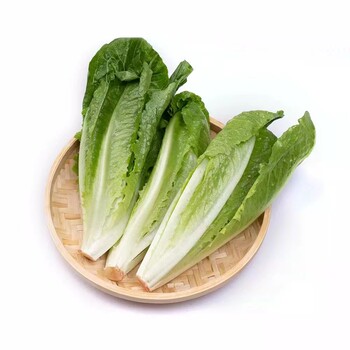 西安蔬菜配送，西安食材配送，水果，水產(chǎn)配送