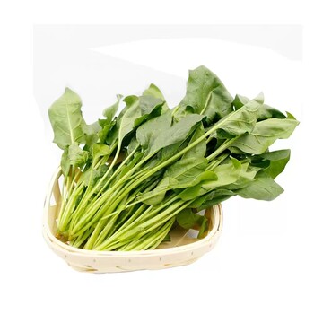 西安蔬菜供應(yīng)西安食材供銷