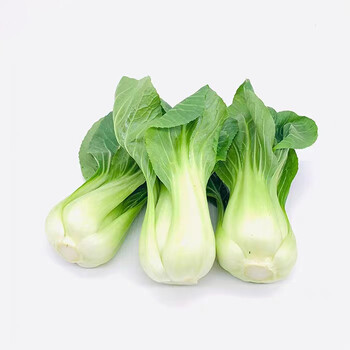 未央單位食材配送學校蔬菜配送