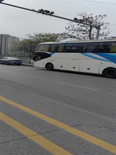 大巴车)温州到枣庄的长途客车班次+客车发车地点(客车班次查询表