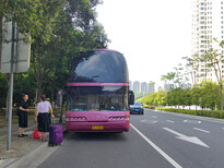 兴化到旺苍的汽车发车时间表查询/客车每天都在发车的图片2