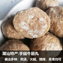 潮汕特產(chǎn)牛肉丸牛筋丸火鍋丸子商用冷凍半成食品