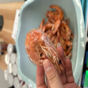 大蝦微波烘干隧道爐微波烘烤設備