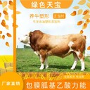 包膜胍基乙酸養(yǎng)出來的牛就是好