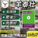 因?yàn)檠蛱眩覀兿嘤鲈谘驁?chǎng)