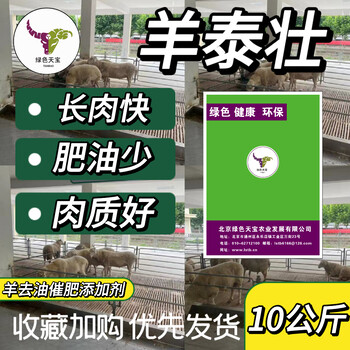 因為羊泰壯，我們相遇在羊場