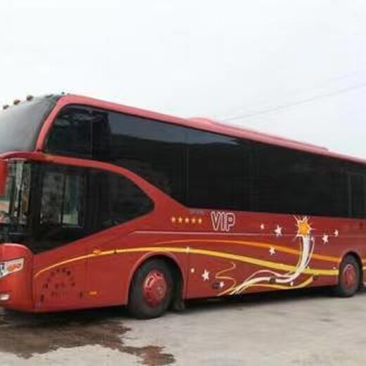 潍坊到郸城的客车大巴车