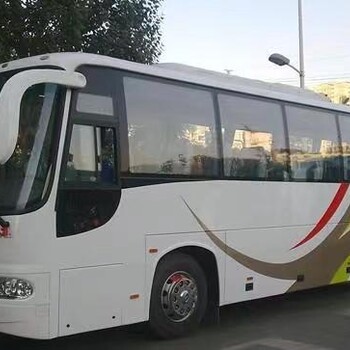 青州到绥中的客车大巴车