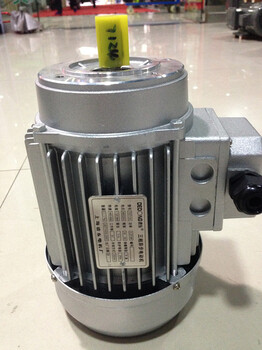 上海德东电机厂YS7124小功率铝壳洗车机电机