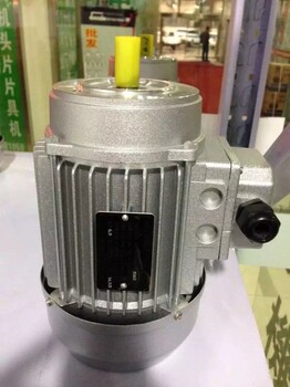 上海德东电机YS7124小功率铝壳洗车机电机德东马达