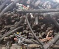 温县电表电缆回收温县配电箱回收