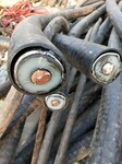 南陽配電箱電表箱回收南陽低壓電纜回收